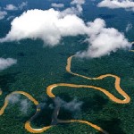 Manu National Park from the air