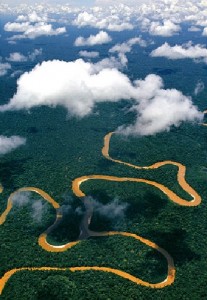 Manu National Park from the air