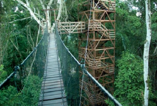 Inkaterra Amazonias - Tree Top Canopy Walk
