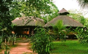 Tambopata National Park - Libertador Lodge