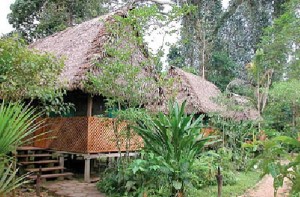 Lodge - Manu Wildlife Centre