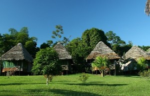 Amazon Jungle Lodges in Pacaya-Samiria