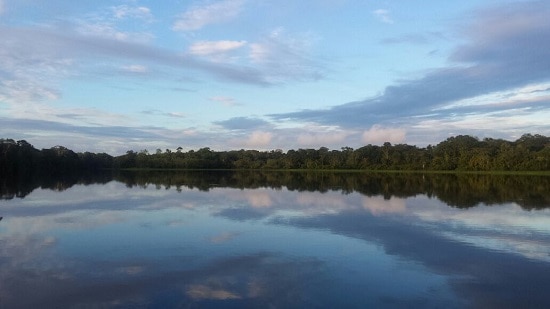 Amazon Jungle Peru