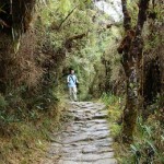 Inca Trail Machu Picchu Hiking the Inca Trail