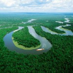 Tambopata Amazon Jungle, Peru
