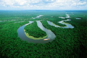 Tambopata Amazon Jungle, Peru