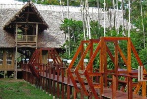 Amazon Jungle Lodge Tambopata