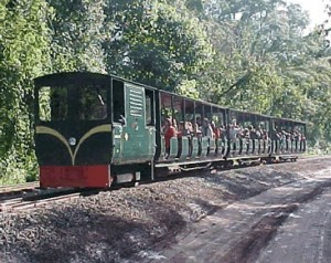 Train ride in Iguazu falls