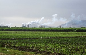 Sugar Factory in Northern Peru