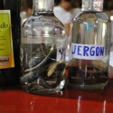 Strange Drinks from Peru, Snake in a bottle