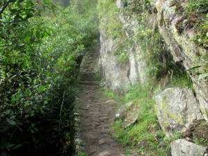 Machu Picchu Mountain Trail