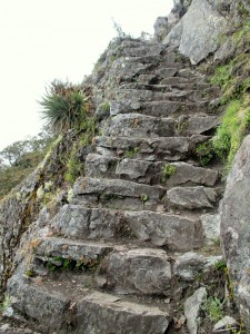 Inca trail steps