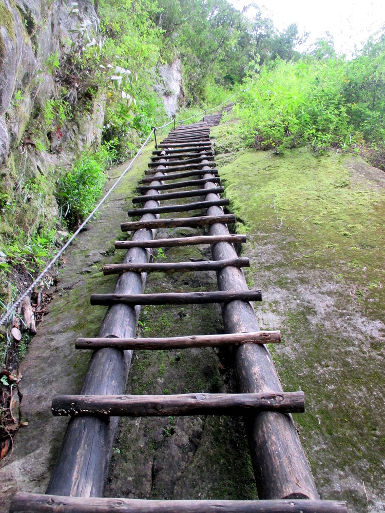 The first wooden ladder