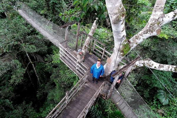 Inkaterra jungle canopy walkway near Puerto Maldonado, Peru Amazon rainforest