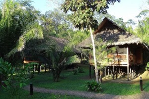 Cabanas at teh Inkaterra Hacienda Concepcion near Puerto Maldonado, Amazon rainforest, Peru