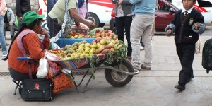 Selling Fruit