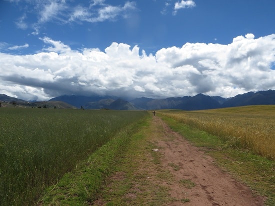 The Route to the Ruins