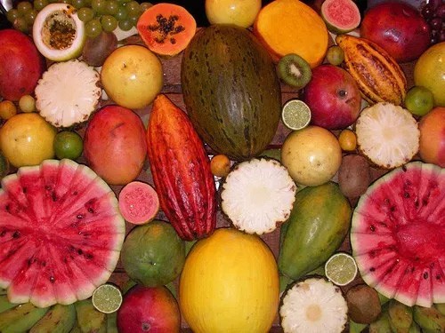 Peruvian Fruits - Variety of fruits