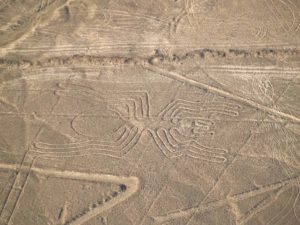 aerial view of the spider nazca line