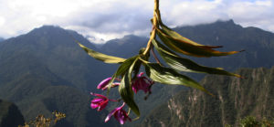 Breathtaking mountain views from the Inca Trail, the most popular Machu Picchu Hike.
